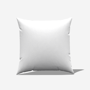 Throw Pillow Cover